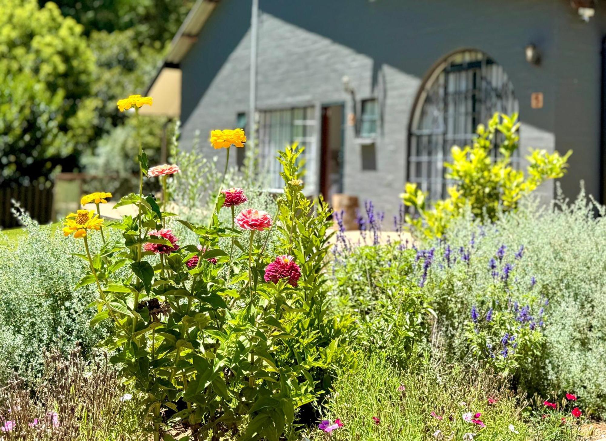 Fiddler'S Green Magoebaskloof Kültér fotó